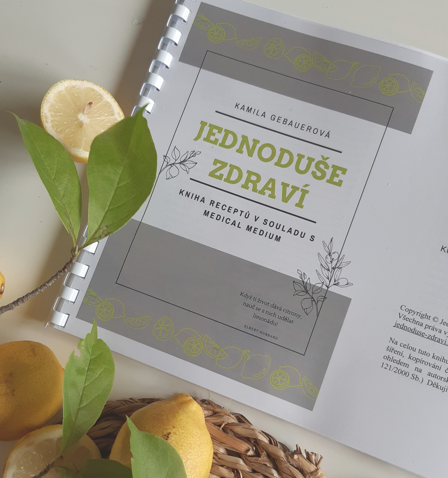 Kucha ky jednoduse zdravi webnode cz